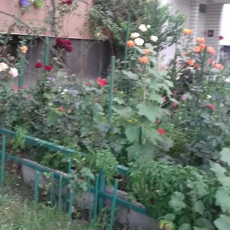 Къща за гости Mvk *
